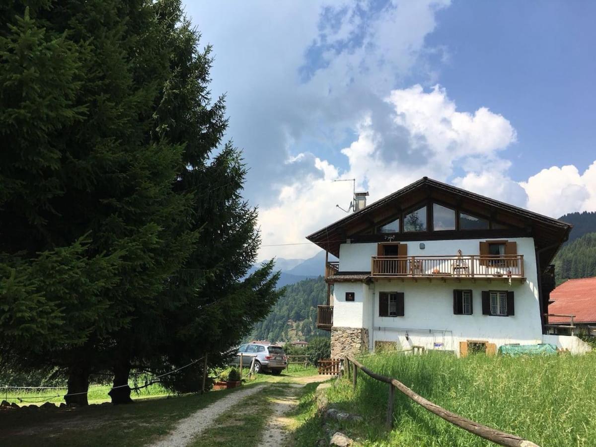 Casa Bernard Zortea Vanoi Cuore Verde Del Trentino Канале-Сан-Бово Экстерьер фото